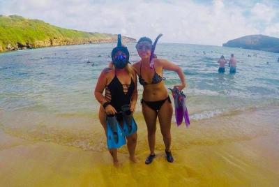 Equipo de snorkel para la bahía de Hanauma Equipo de snorkel para la bahía de Hanauma