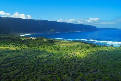 Excursión privada en helicóptero a los acantilados de Moloka Excursión privada en helicóptero a los acantilados de Moloka'i desde Kapolei