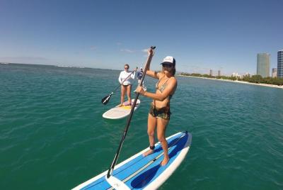 Surf HNL: ¡Lecciones de SURF en la playa de Ala Moana! TRANSPORTE GRATUITO Surf HNL: ¡Lecciones de SURF en la playa de Ala Moana! TRANSPORTE GRATUITO