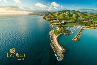 Traslado privado al aeropuerto de Honolulu y hoteles de Ko Olina en minivan (hasta 5 personas) Traslado privado al aeropuerto de Honolulu y hoteles de Ko Olina en minivan (hasta 5 personas)