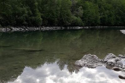 Pesca guiada y excursiones a pie.