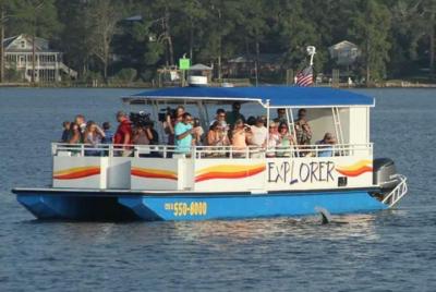 Excursión ecológica de 2 horas a los delfines y la naturaleza desde Orange Beach Excursión ecológica de 2 horas a los delfines y la naturaleza desde Orange Beach
