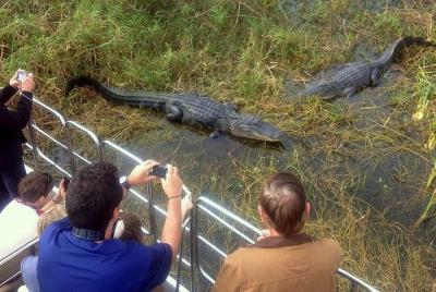 Excursión en aerodeslizador por los Everglades de Florida y encuentro con caimanes desde Orlando Excursión en aerodeslizador por los Everglades de Florida y encuentro con caimanes desde Orlando