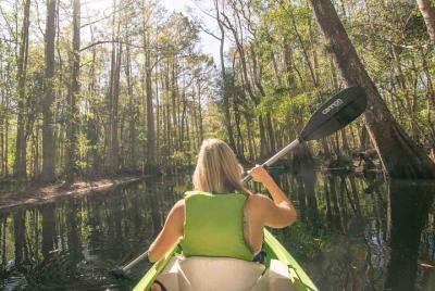 Tour guiado en kayak de medio día por Shingle Creek con almuerzo y transporte de ida y vuelta Tour guiado en kayak de medio día por Shingle Creek con almuerzo y transporte de ida y vuelta
