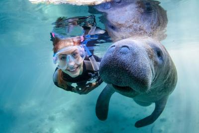 Florida Manatee Adventure, hidrodeslizador estilo Everglades, parque de vida silvestre y transporte Florida Manatee Adventure, hidrodeslizador estilo Everglades, parque de vida silvestre y transporte
