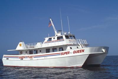 Aventura de pesca en aguas profundas en Clearwater Beach con almuerzo y transporte desde Orlando Aventura de pesca en aguas profundas en Clearwater Beach con almuerzo y transporte desde Orlando