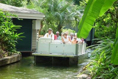 Recorrido a pie por los pavos reales, presidentes y rompecabezas de Winter Park Recorrido a pie por los pavos reales, presidentes y rompecabezas de Winter Park