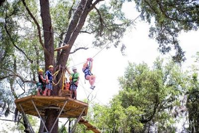 Tour Treetop Express Zip Line con 5 vuelos en tirolina y 2 puentes aéreos incluidos Tour Treetop Express Zip Line con 5 vuelos en tirolina y 2 puentes aéreos incluidos