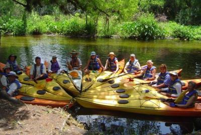 Remo de 8 millas corriente abajo del río Little Wekiva  Remo de 8 millas corriente abajo del río Little Wekiva