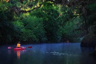 Excursión en kayak por el río Econlockhatchee. Excursión en kayak por el río Econlockhatchee.