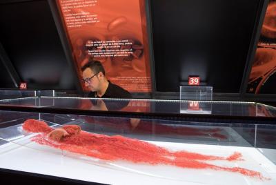 HUMAN BODIES: Entrada a la exposición