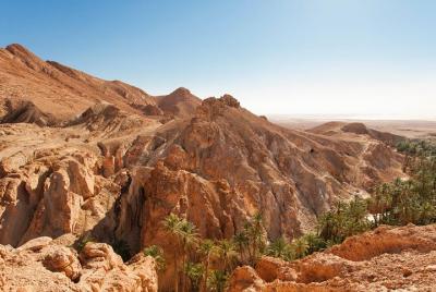 Indian Canyons en Jeep, además de un a excursión de senderismo desde Palm Springs