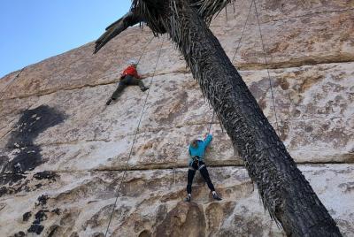 Escalada en grupo para principiantes en el Parque Nacional Joshua Tree