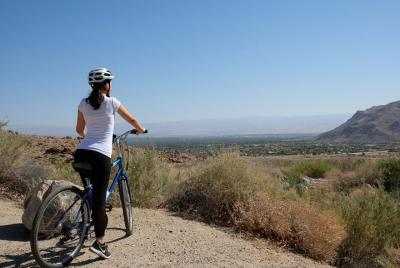 Excursión para grupos pequeños en bicicleta y caminata por Indian Canyons desde Palm Springs
