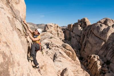 Excursiones de escalada en roca en el Parque Nacional Joshua Tree (6 horas)