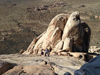 Viajes de escalada en roca en el Parque Nacional Joshua Tree (8 horas)