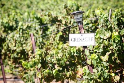 Tour privado de cata de vinos de Paso Robles en SUV