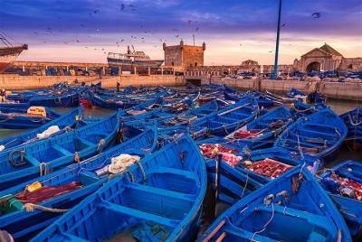 Excursión de un día a Essaouira desde Agadir