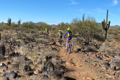 Tour privado guiado en bicicleta de montaña por el desierto de 1-2 horas