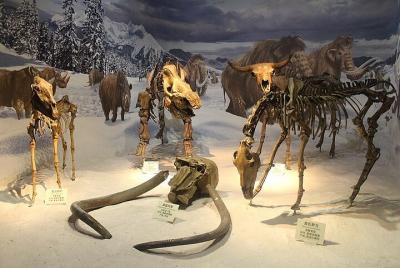 Great Northern PA Ice Age Journey (día completo, su grupo de 1 a 13) Great Northern PA Ice Age Journey (día completo, su grupo de 1 a 13)