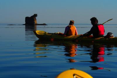 Excursión de medio día en kayak de mar cerca del Parque Nacional Olympic Excursión de medio día en kayak de mar cerca del Parque Nacional Olympic