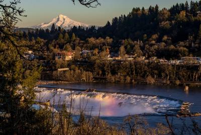Tour privado de medio día por la ciudad de Portland Tour privado de medio día por la ciudad de Portland