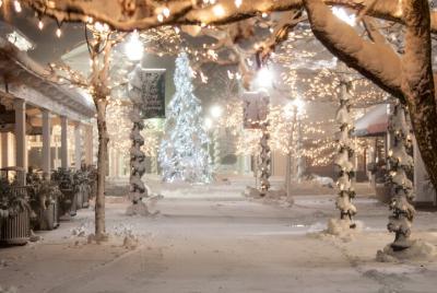 Tour de fotografía nocturna con luces navideñas
