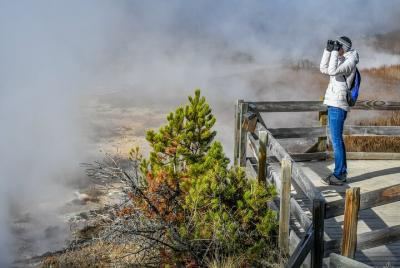 Tour de invierno de 4 días a Yellowstone y Grand Teton Park para grupos privados pequeños  Tour de invierno de 4 días a Yellowstone y Grand Teton Park para grupos privados pequeños