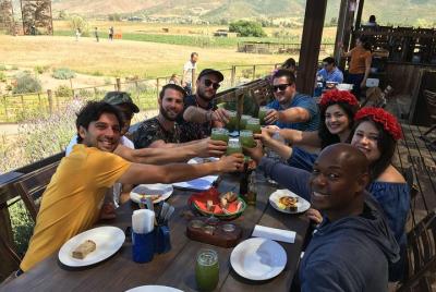 Tour privado de lujo con cata de vinos al Valle de Guadalupe desde San Diego Tour privado de lujo con cata de vinos al Valle de Guadalupe desde San Diego