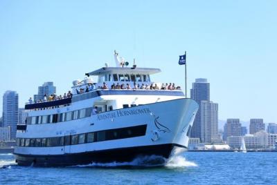 Crucero de una hora por el puerto de San Diego y aventura con leones marinos Crucero de una hora por el puerto de San Diego y aventura con leones marinos