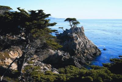 Excursión de un día a Monterey y Carmel por la Costa de California Excursión de un día a Monterey y Carmel por la Costa de California