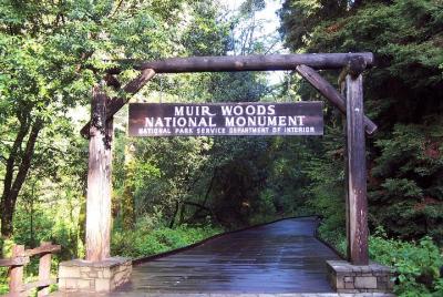 Excursión a Muir Woods con crucero de 1 hora por la bahía Golden Gate desde San Francisco Excursión a Muir Woods con crucero de 1 hora por la bahía Golden Gate desde San Francisco