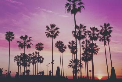 Costa de California 3 días: San Francisco a Los Ángeles Costa de California 3 días: San Francisco a Los Ángeles