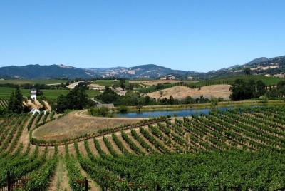 Tour de vino privado de 9 horas de Sonoma Zipline y Custom Wine Tour desde San Francisco Tour de vino privado de 9 horas de Sonoma Zipline y Custom Wine Tour desde San Francisco