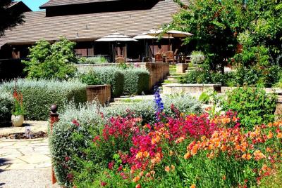 Tour privado de vino por el río ruso desde San Francisco Tour privado de vino por el río ruso desde San Francisco