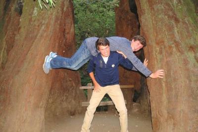 Tour privado de medio día por Muir Woods y Sausalito desde San Francisco