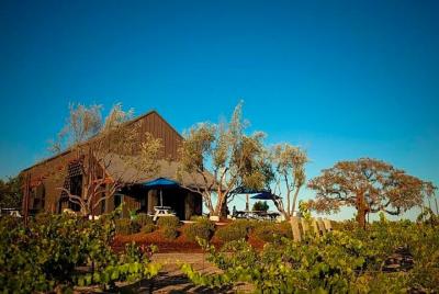Tour del vino Hop-On Hop-Off desde San Luis Obispo y Pismo Beach Tour del vino Hop-On Hop-Off desde San Luis Obispo y Pismo Beach