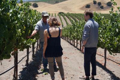 Tour de vinos enólogo privado de Santa Bárbara