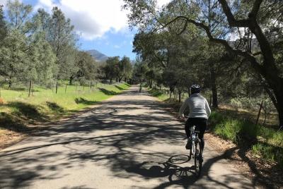 Tour en bicicleta de medio día por la región vinícola desde Solvang, sin almuerzo