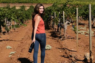 Experiencia exclusiva de 8 horas Wine Tour para hasta 6 invitados / Napa-Sonoma Experiencia exclusiva de 8 horas Wine Tour para hasta 6 invitados / Napa-Sonoma