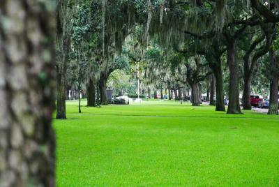 Recorrido a pie por la historia irlandesa de Savannah