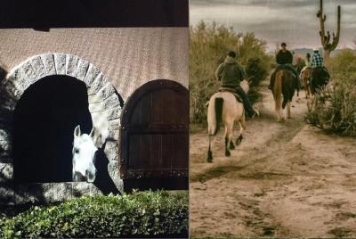 Excursión a caballo por Scottsdale y Horse Country Estate Excursión a caballo por Scottsdale y Horse Country Estate
