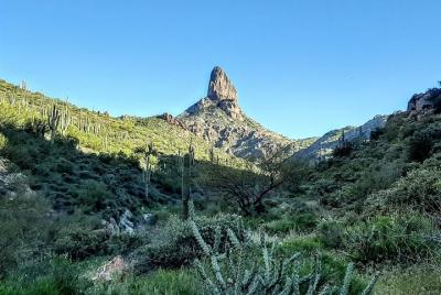 Phoenix Hiking Tours Phoenix Hiking Tours