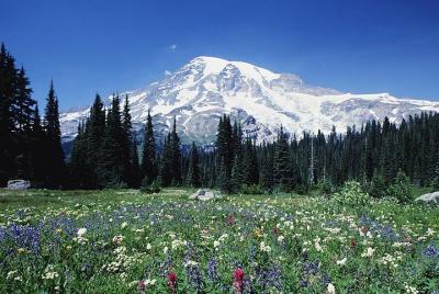 Excursión de un día al Monte Rainier desde Seattle