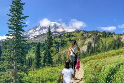 monte Excursión en grupo reducido al Parque Nacional Rainier desde Seattle con almuerzo gourmet