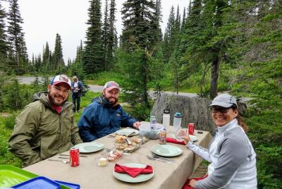 Excursión de lujo de un día para grupos pequeños al Parque Nacional Mount Rainier con almuerzo