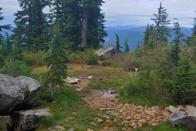 Tour de naturaleza / caminata