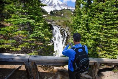 Excursión para grupos pequeños al Monte Rainier con almuerzo