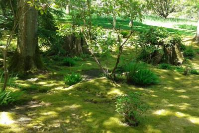 Paseo por la reserva natural de la isla de Bainbridge con almuerzo