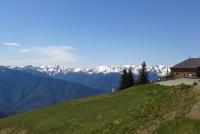 Parque Nacional Hurricane Ridge Olympic desde Seattle